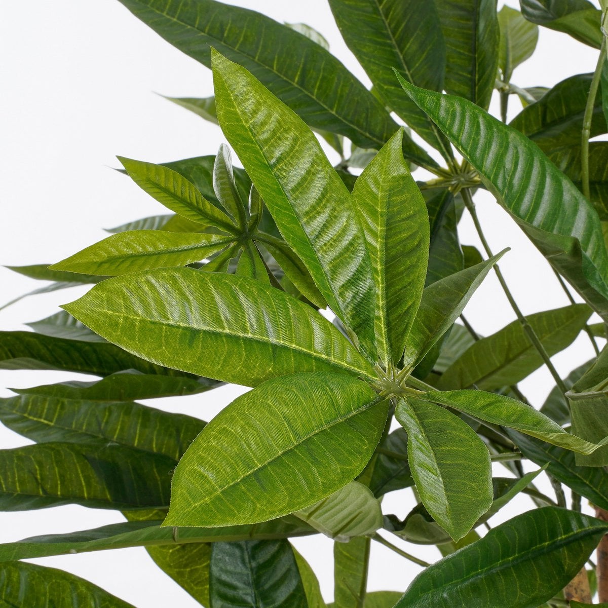 Pachira kunstplant, 80 cm