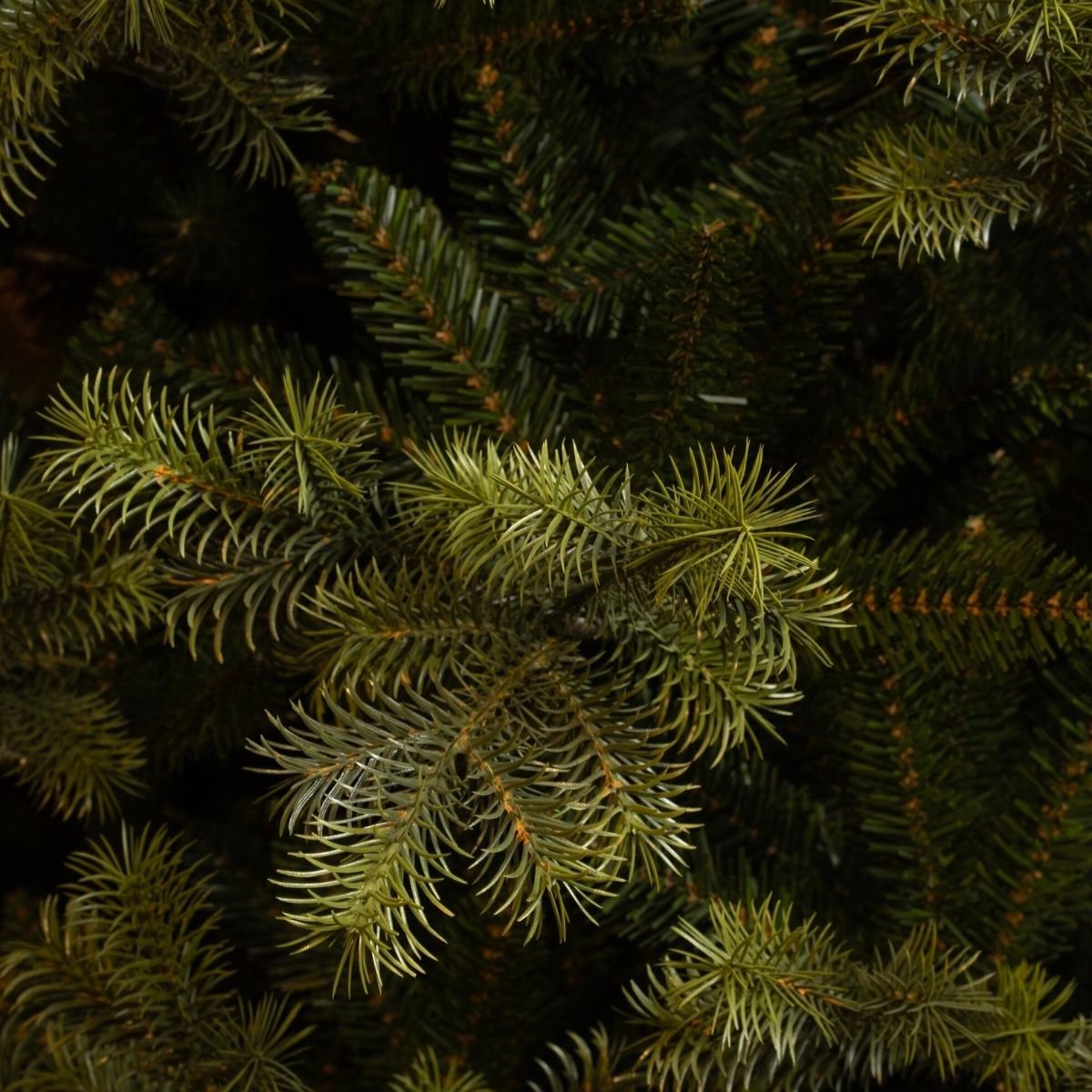 Clive kunstkerstboom, 185 cm, Ø 130 cm