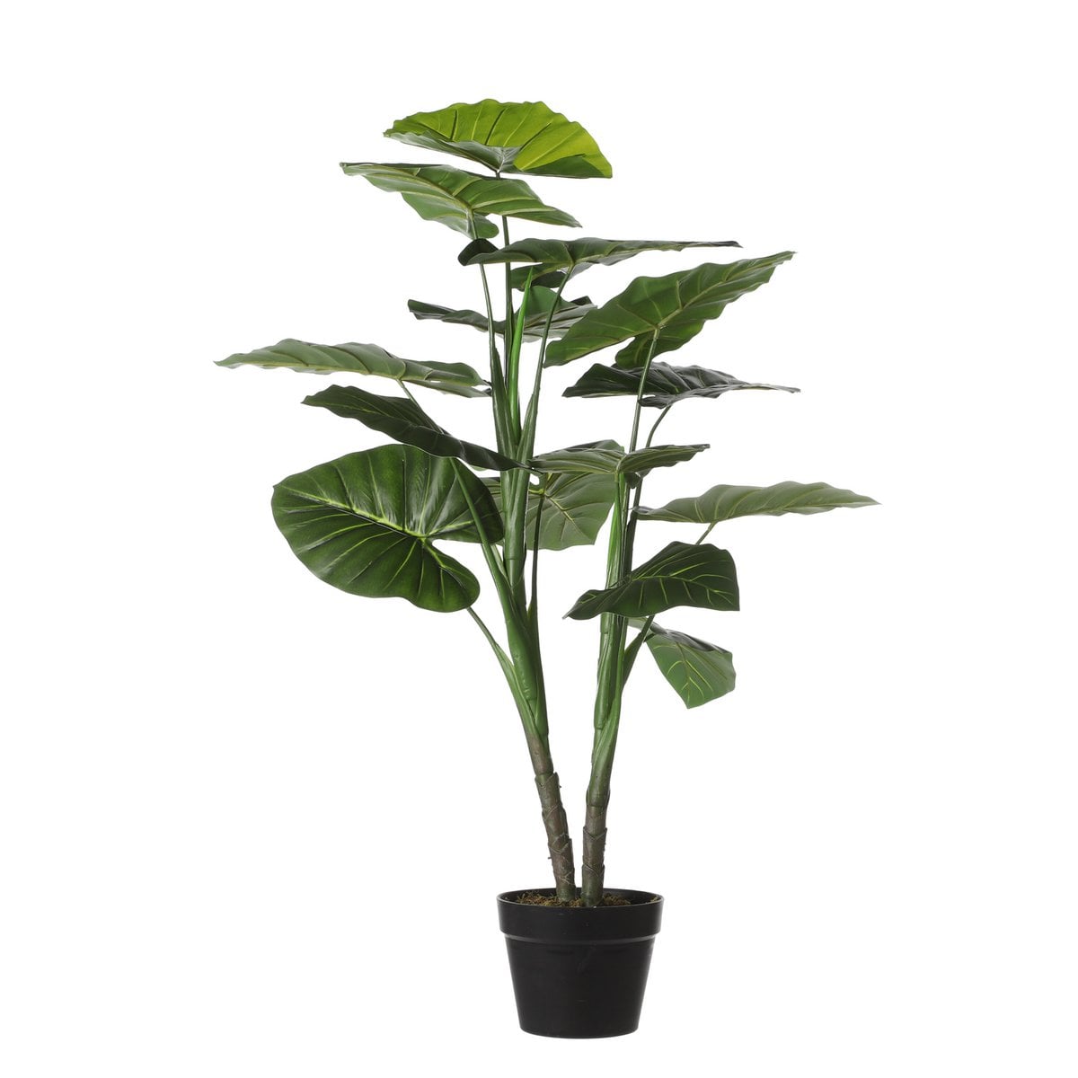 Taro kunstplant, 100 cm