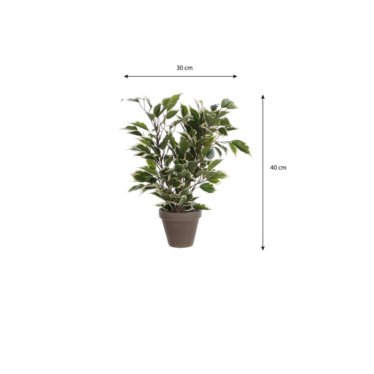 Ficus Natasja kunstplant, 40 cm