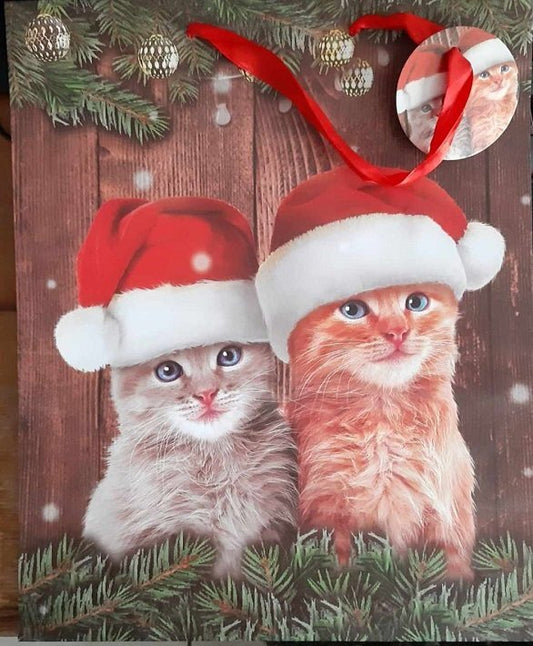 Kerstkatjes cadeautas