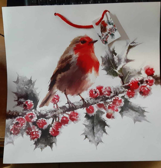 Roodborst cadeautas