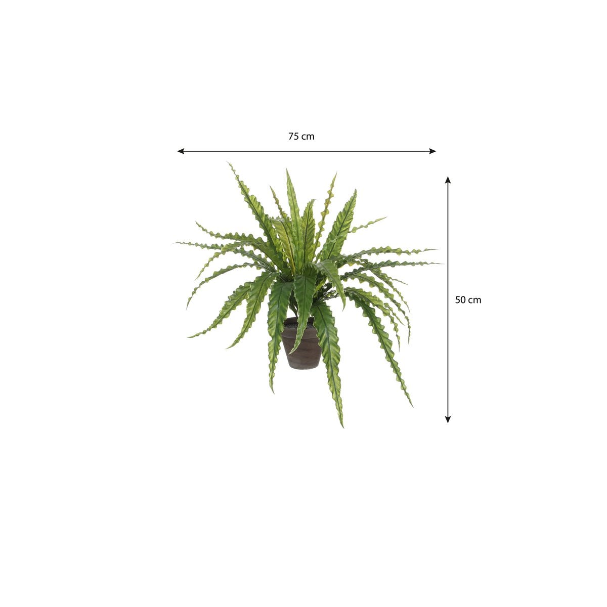Asplenium kunstplant, 50 cm
