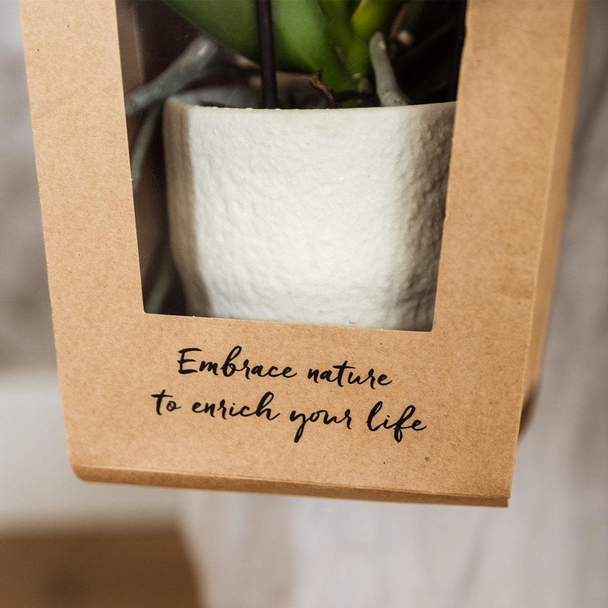 Cadeautasje voor orchidee met sierpot, wit, 45 cm