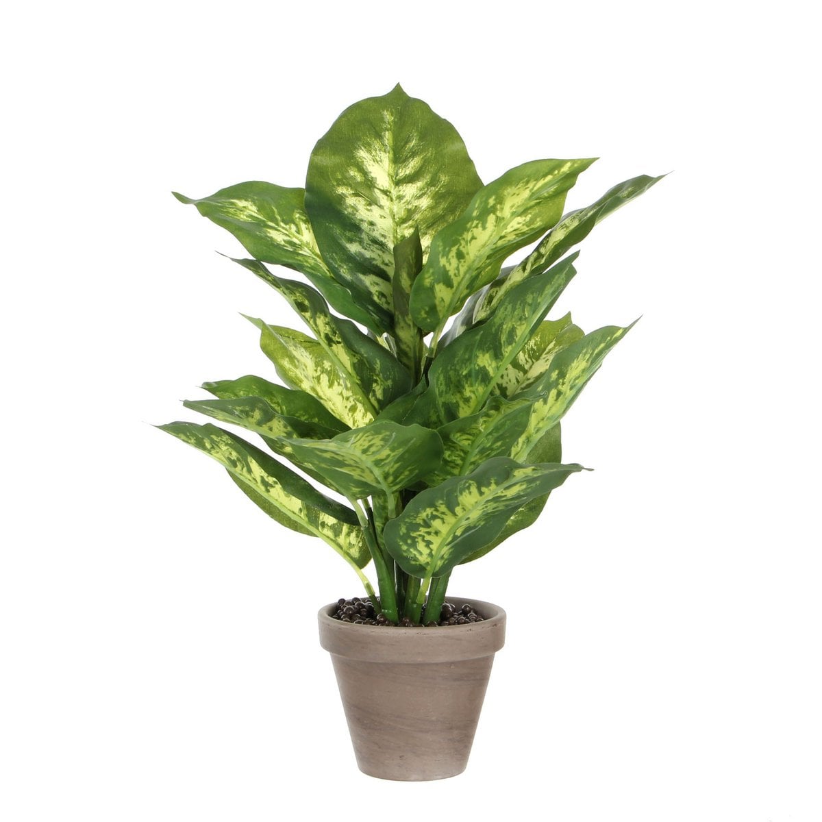 Dieffenbachia kunstplant, 40 cm