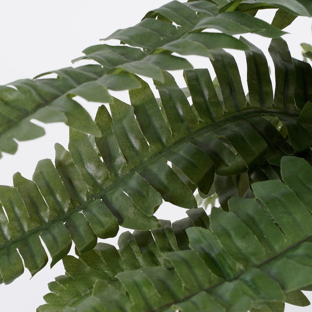 Boston fern kunstplant, 42 cm