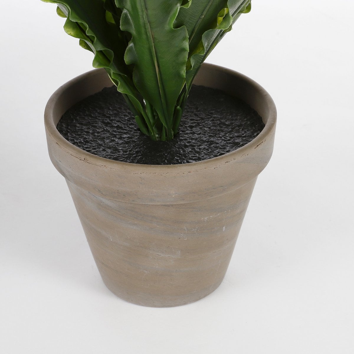 Asplenium kunstplant, 50 cm