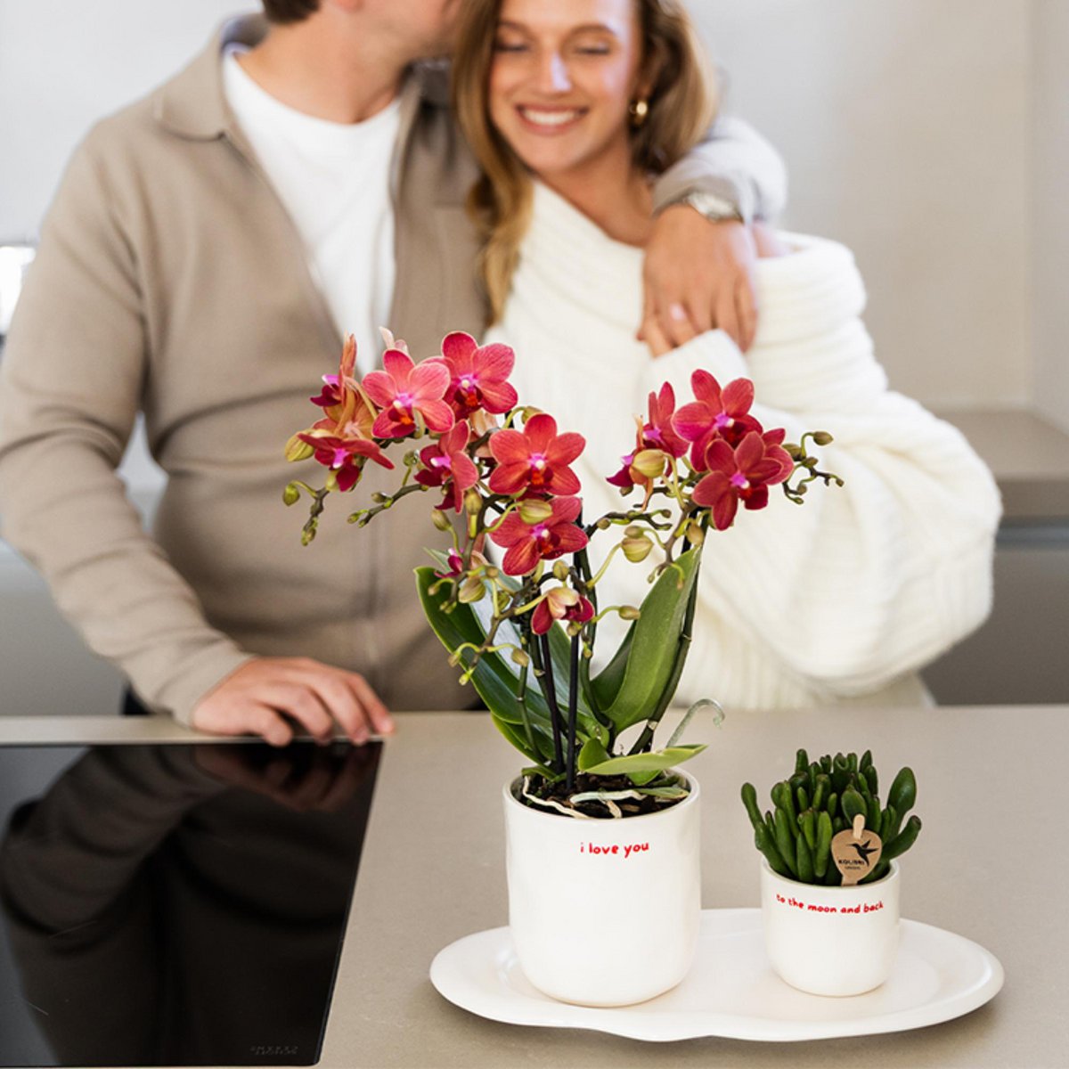 Rode Phalaenopsis orchidee Congo, 35 cm, potmaat Ø 9 cm