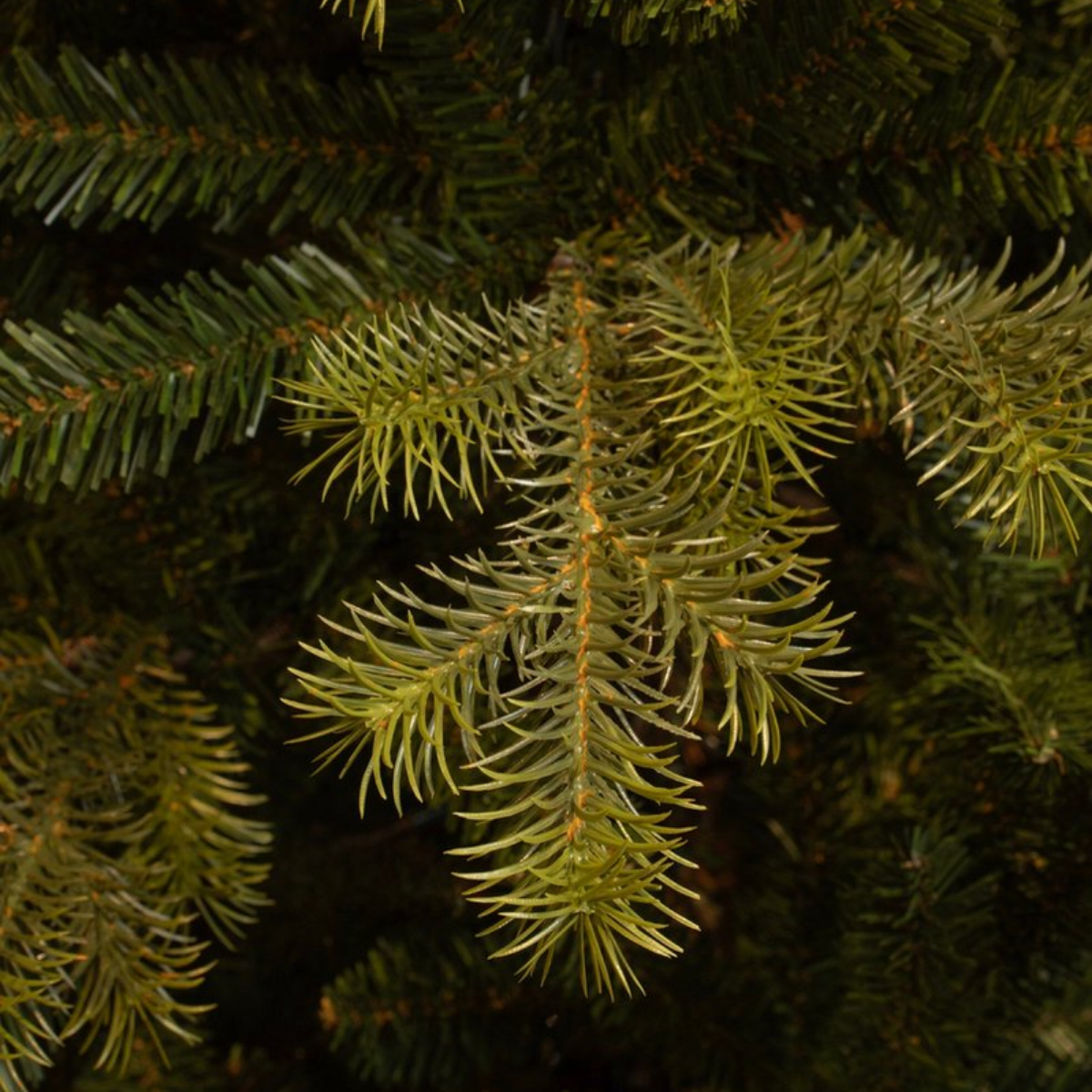 Clive kunstkerstboom, 215 cm, Ø 142 cm