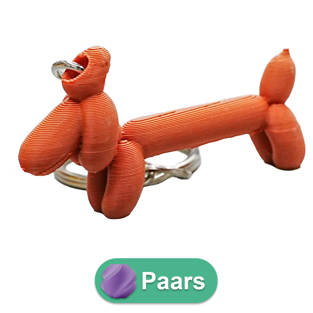 Wiener ballonhond sleutelhanger