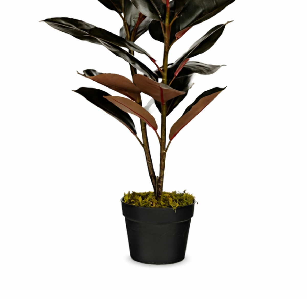 Rubberplant kunstplant, roodbruin, 90 cm, Ø70 cm