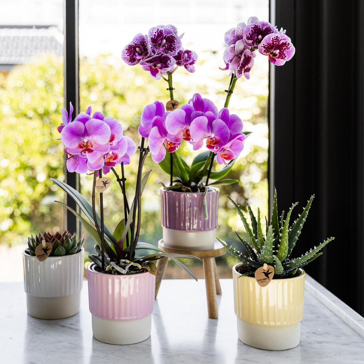 Houten plantenstandaard, Ø 12 cm, 10,5 cm hoog