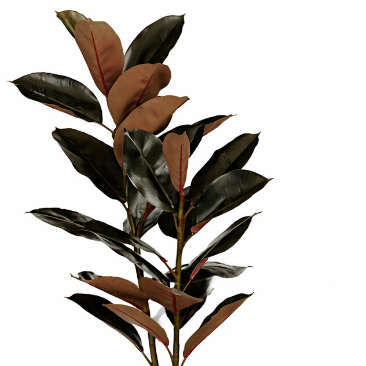 Rubberplant kunstplant, roodbruin, 120 cm