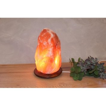 Salt Dreams Himalaya zoutlamp met houten voet 25 cm