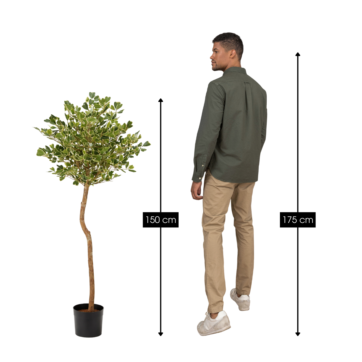 Ficus Triangularis kunstplant met pot, groen, 150 cm