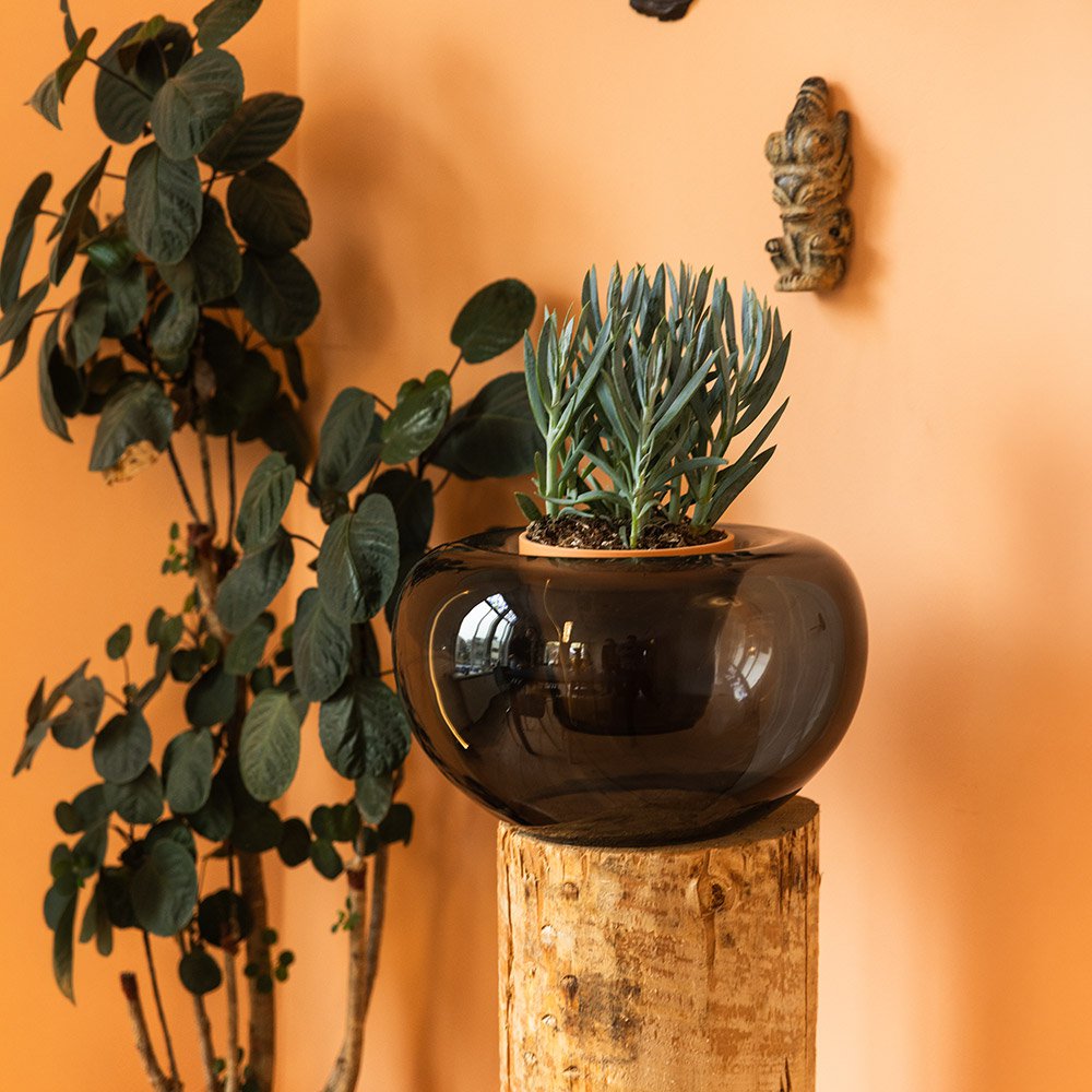 Potvase glazen plantenvaas met terracotta pot, Ø 35 cm