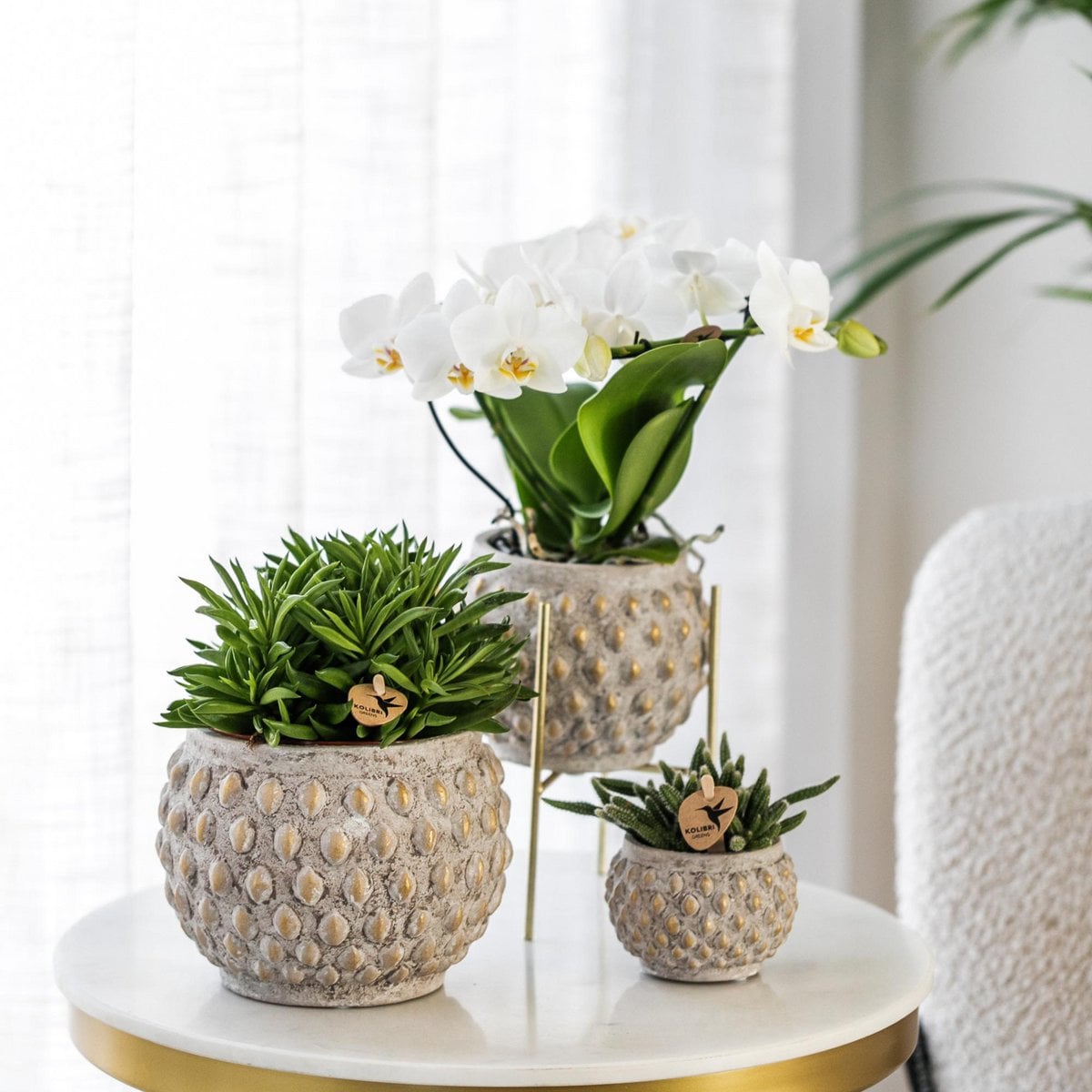 Metalen plantenstandaard, goudkleurig, Ø 14 cm, 18,5 cm hoog