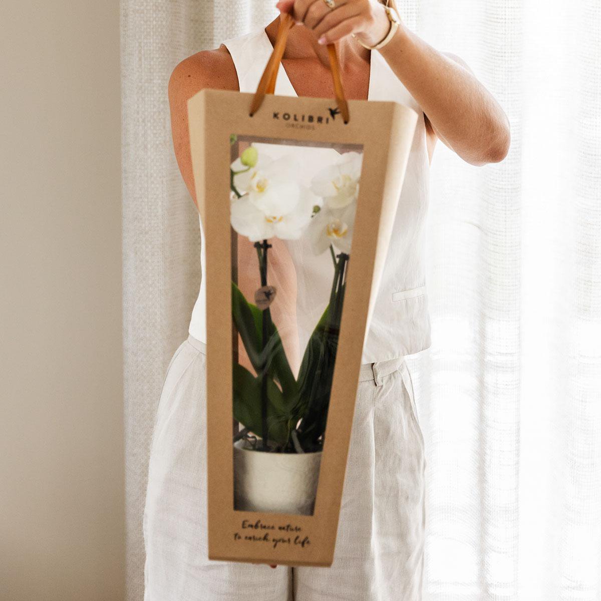 Cadeautasje voor orchidee met sierpot, wit, 45 cm