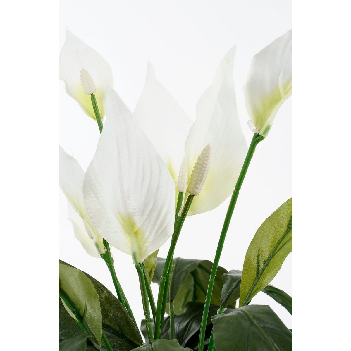 Spathiphyllum kunstplant, 50 cm