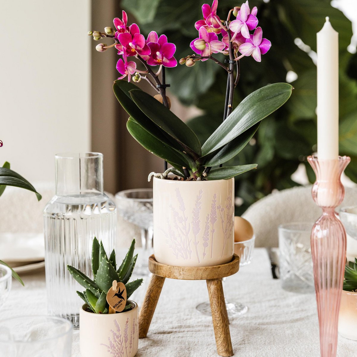 Houten plantenstandaard, Ø 12 cm, 10,5 cm hoog