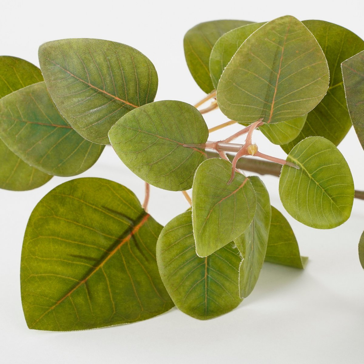Eucalyptus kunstplant met wortels, 64 cm