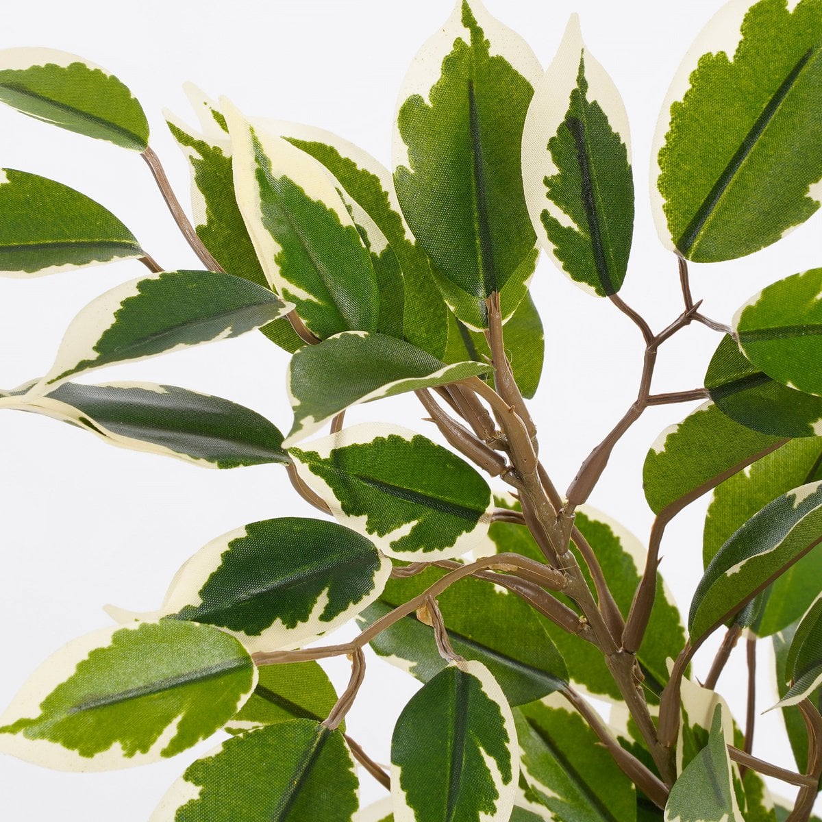 Ficus Natasja kunstplant, 40 cm