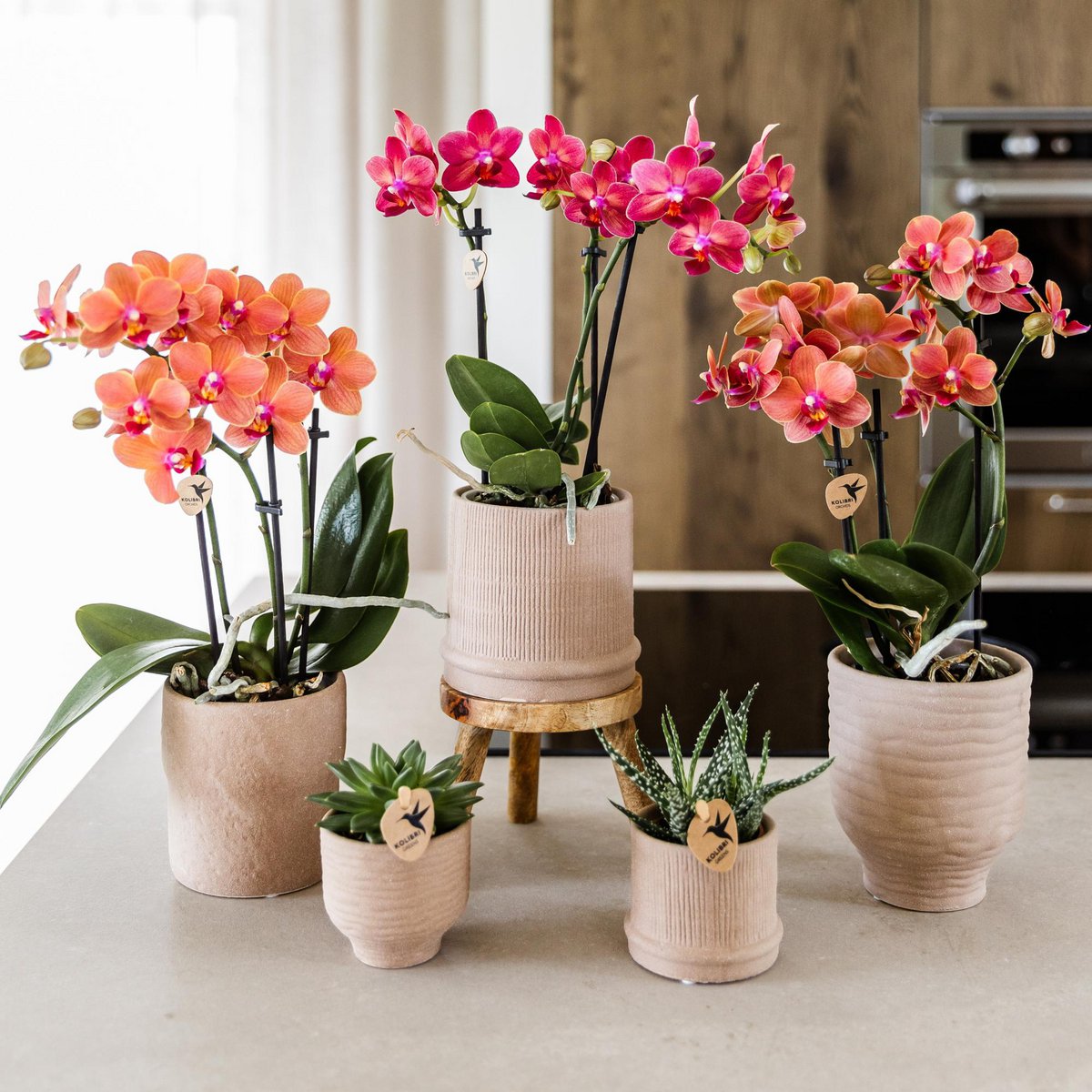 Houten plantenstandaard, Ø 12 cm, 10,5 cm hoog