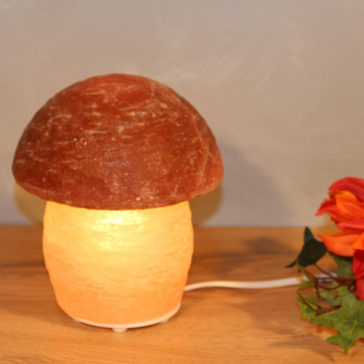 Salt Dreams paddenstoel zoutlamp 16 cm