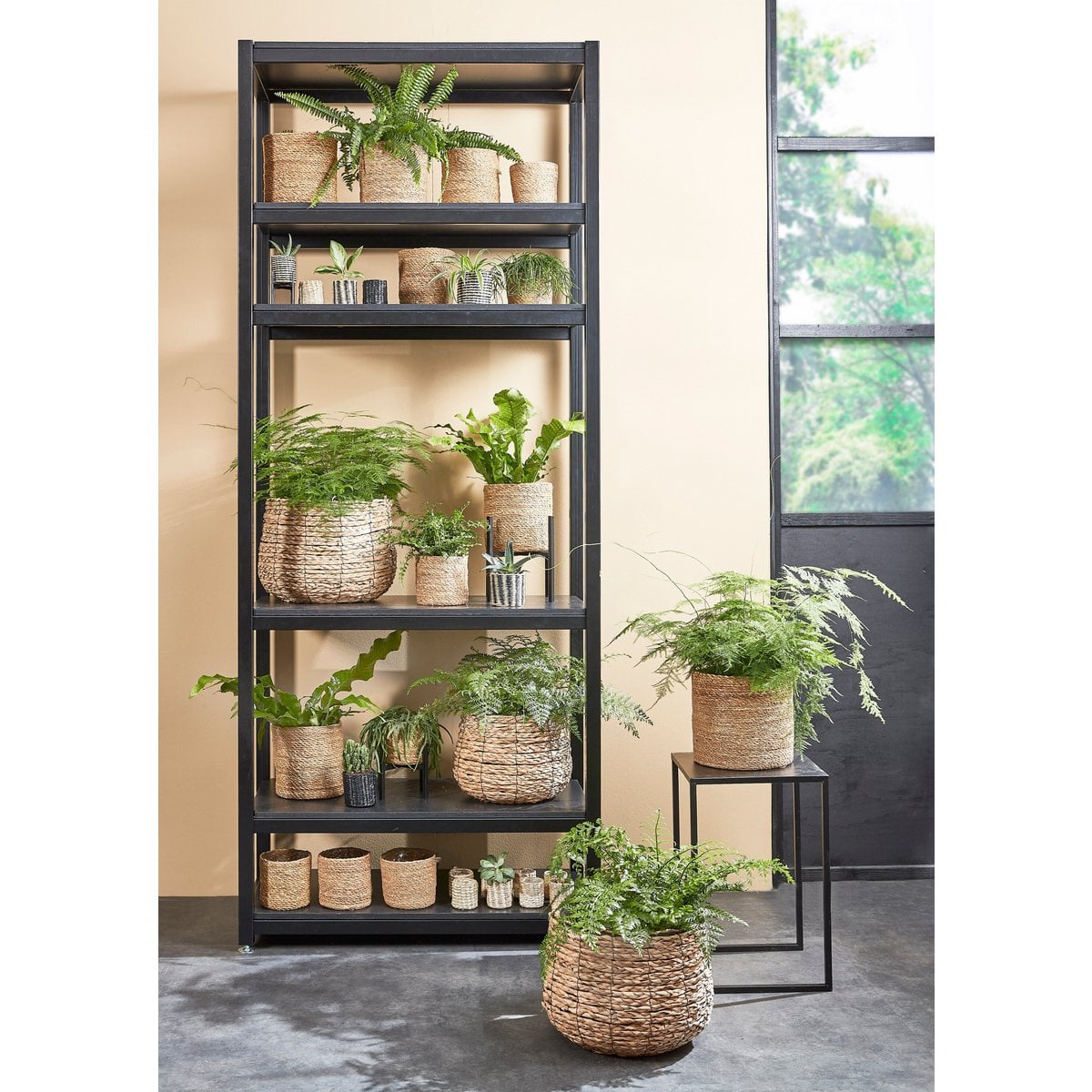 Ascot plantenstandaard, zwart, 37.5 × 37.5 × 39.5 cm
