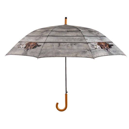 Kiekeboe paraplu