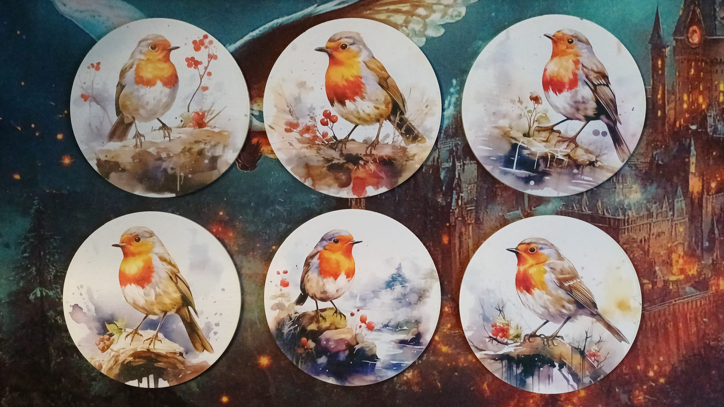 Onderzetters roodborst, 6 stuks, plexiglas