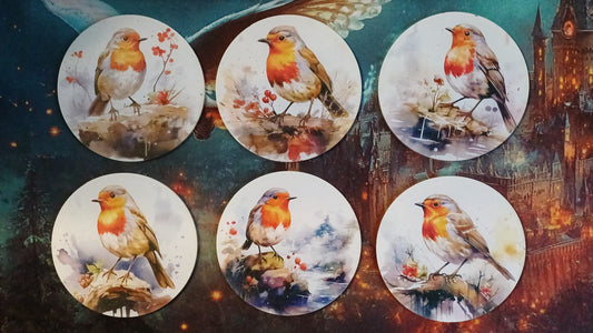 Onderzetters roodborst, 6 stuks, plexiglas