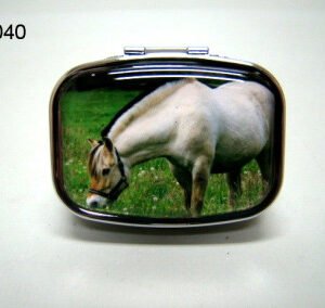 Fjord, paard, pillendoosje