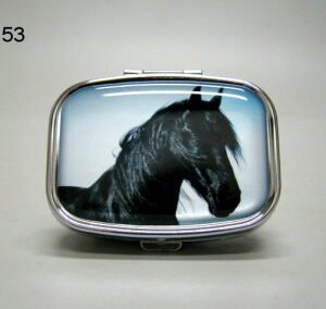 Fries, paard, pillendoosje