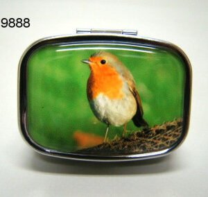 Roodborst pillendoosje