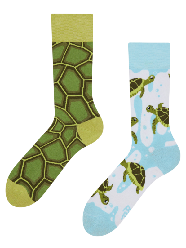 Sokken sea turtles, 39-42